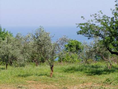 Αγροτεμάχιο με θέα στο Αιγαίο Παράλια Λάρισας Αγροτεμάχιο με θέα στο Αιγαίο Παράλια Λάρισας