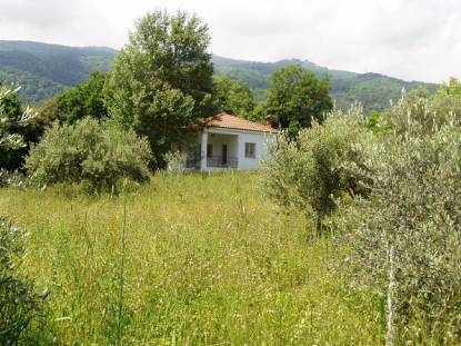Αγροτεμάχιο με κατοικία Παράλια Λάρισας Κόκκινο Νερό Αγροτεμάχιο με κατοικία Παράλια Λάρισας Κόκκινο Νερό