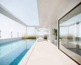      roof garden  
