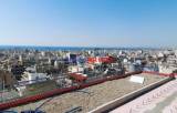      roof garden  